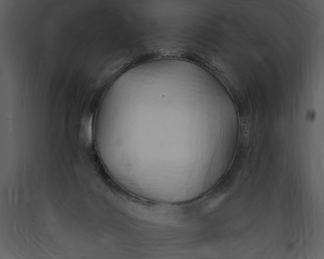 X0000089660028200707191659