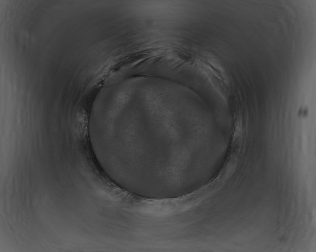 X0000089660029200707191659