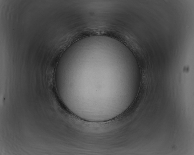 X0000089660030200707191659