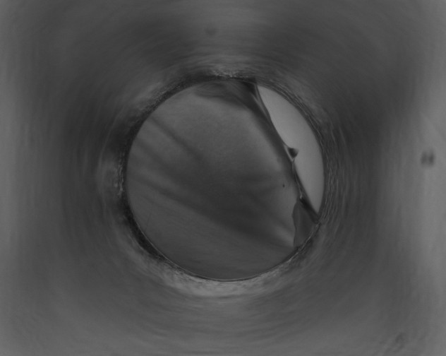 X0000089660031200707191659
