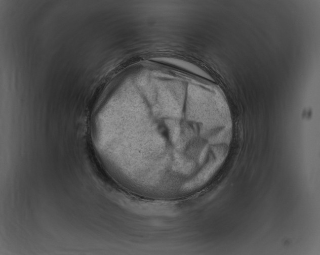 X0000089660032200707191659