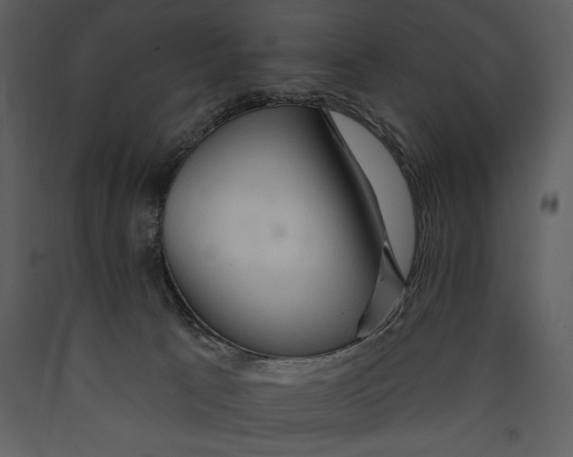 X0000089660033200707191659
