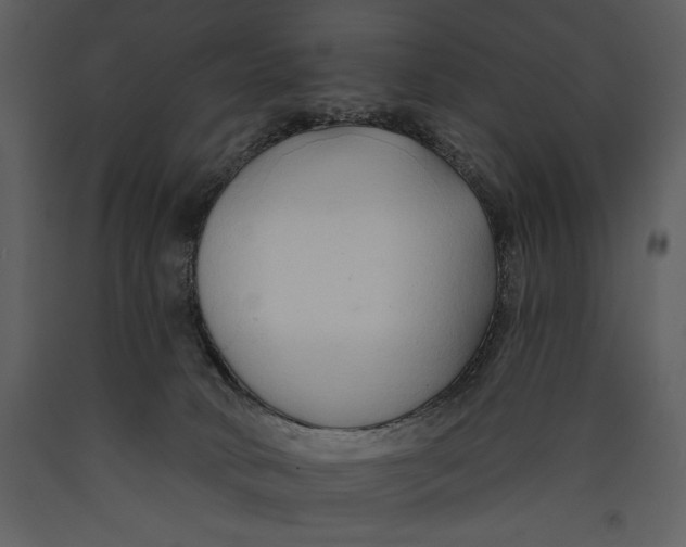 X0000089660034200707191659