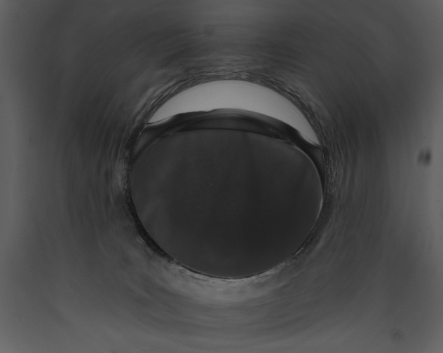 X0000089660035200707191658