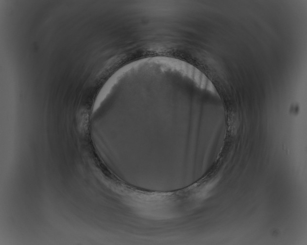 X0000089660036200707191658