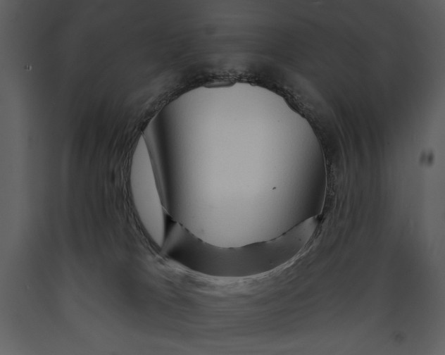 X0000089660037200707191658