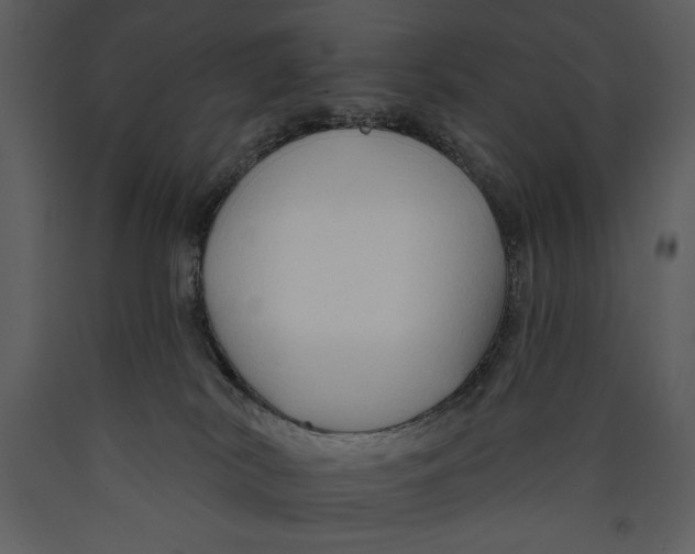 X0000089660038200707191658