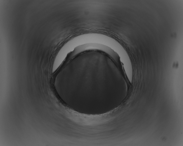 X0000089660039200707191658