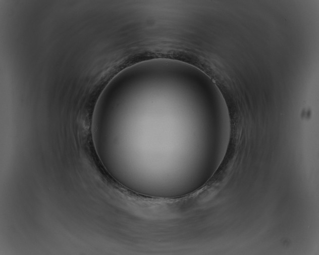 X0000089660040200707191658