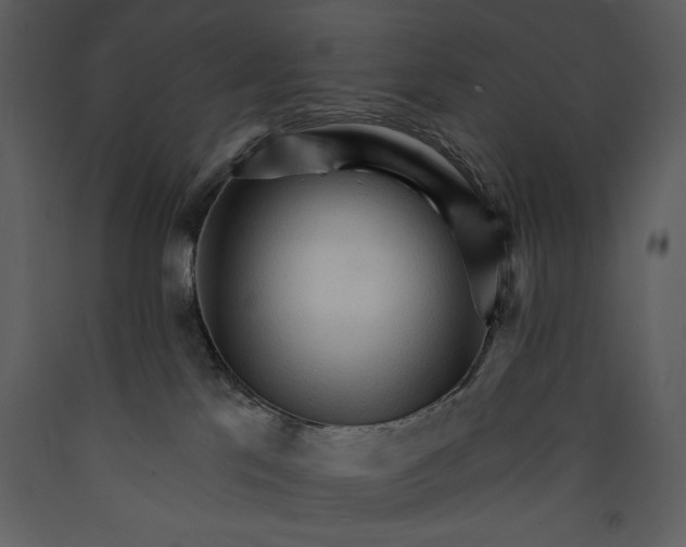 X0000089660041200707191658