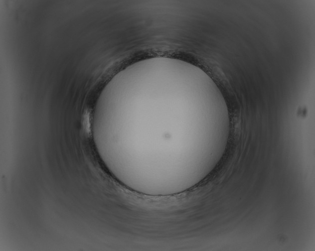 X0000089660042200707191658