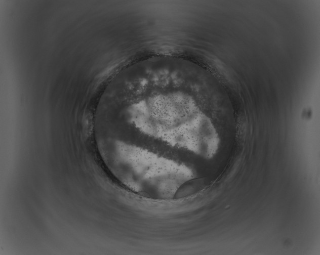X0000089660043200707191658