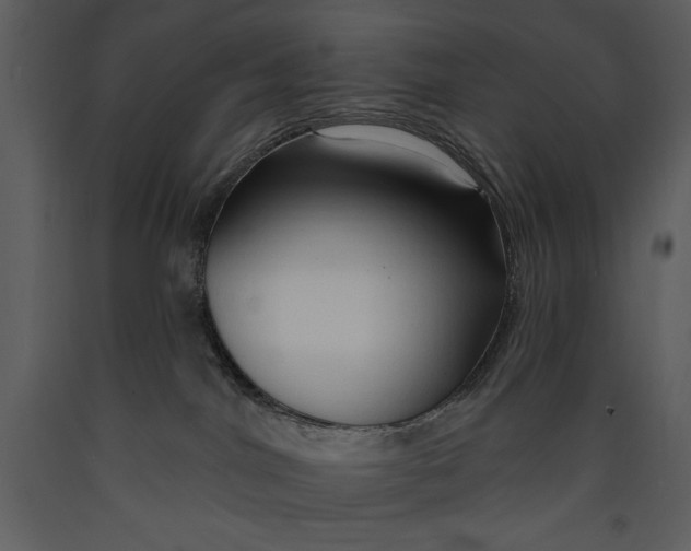 X0000089660044200707191658