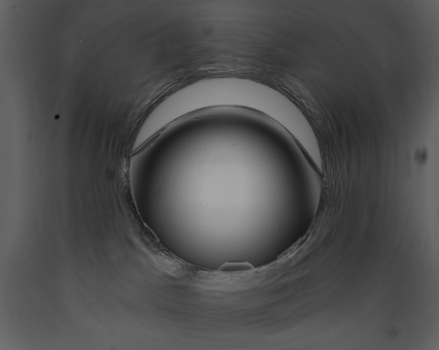 X0000089660045200707191658