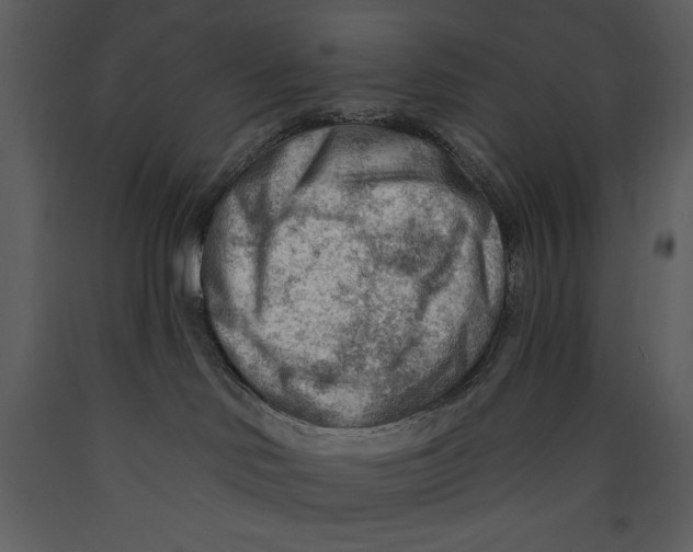 X0000089660046200707191658