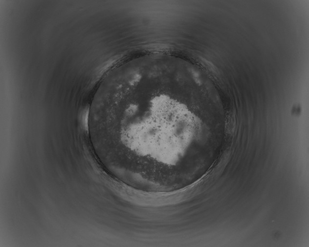 X0000089660047200707191658