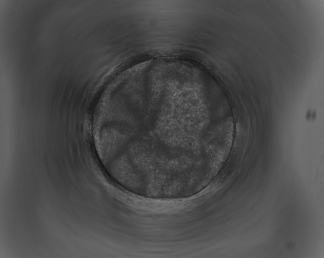 X0000089660048200707191658