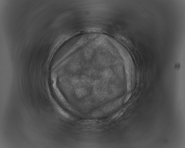 X0000089660049200707191658