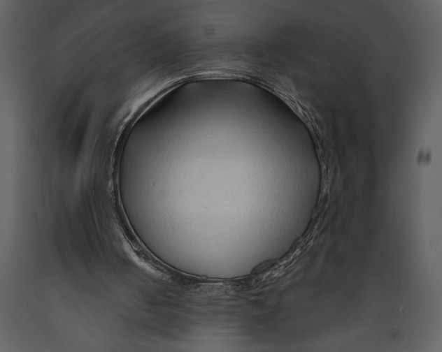 X0000089660050200707191658