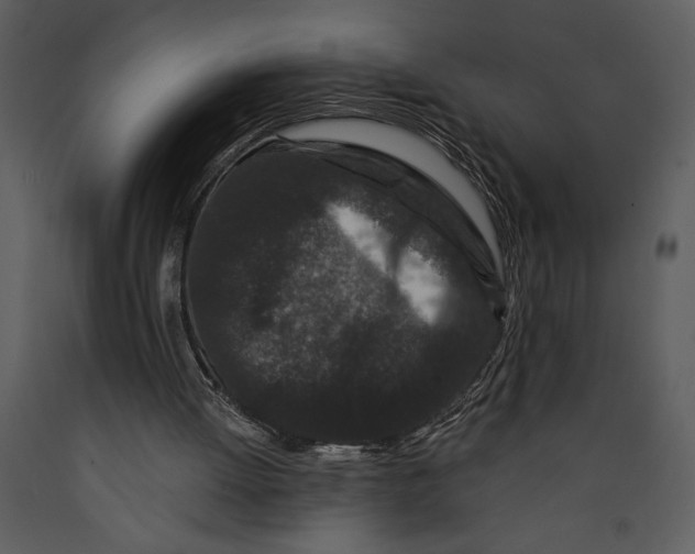 X0000089660052200707191658