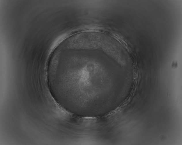 X0000089660053200707191658