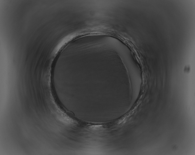 X0000089660054200707191658