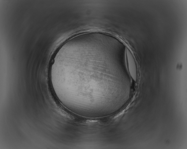 X0000089660055200707191658