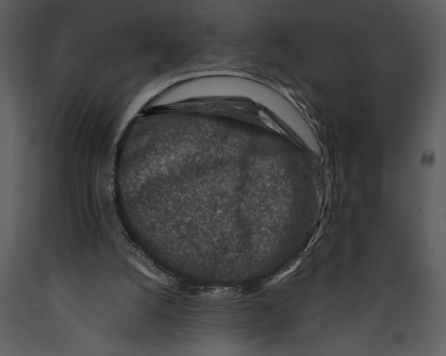 X0000089660056200707191658