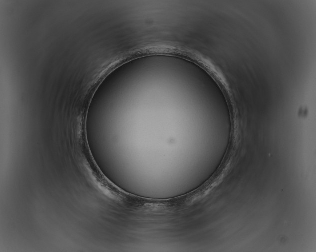 X0000089660057200707191658