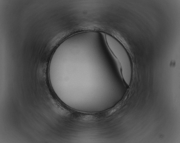 X0000089660058200707191658