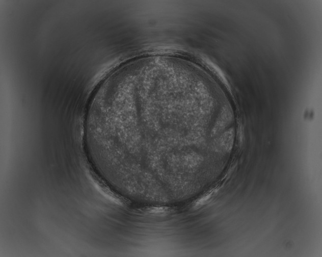 X0000089660059200707191658