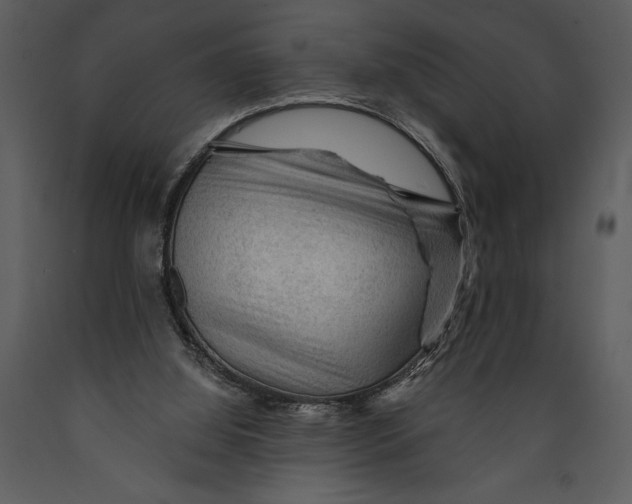 X0000089660060200707191658