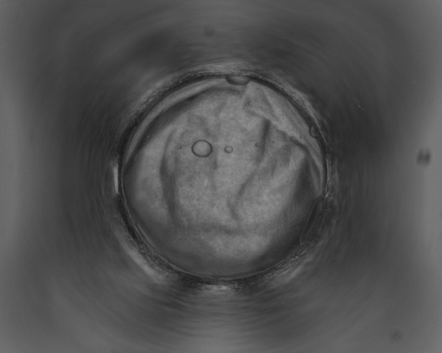 X0000089660061200707191658