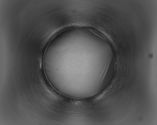 X0000089660062200707191658