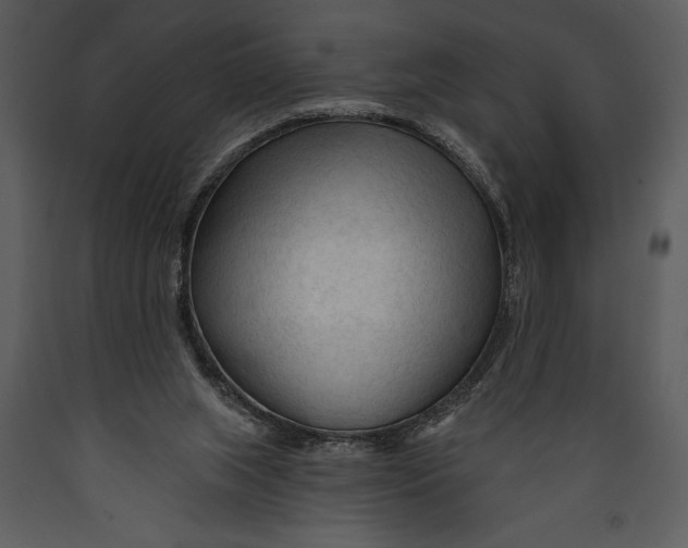 X0000089660063200707191658
