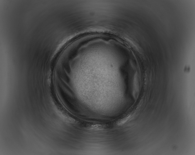 X0000089660064200707191658