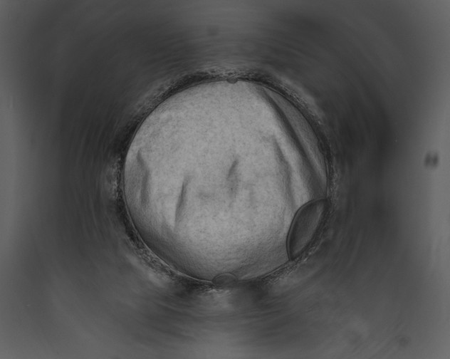 X0000089660065200707191658