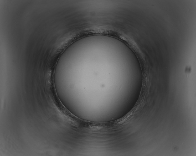 X0000089660066200707191658
