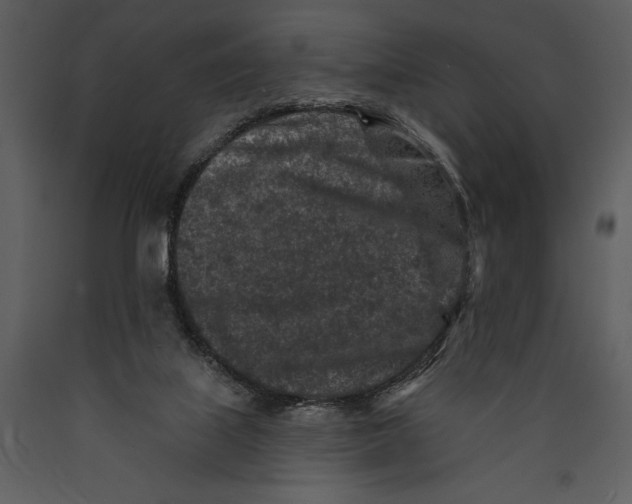 X0000089660067200707191658