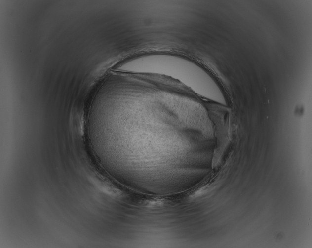 X0000089660068200707191658
