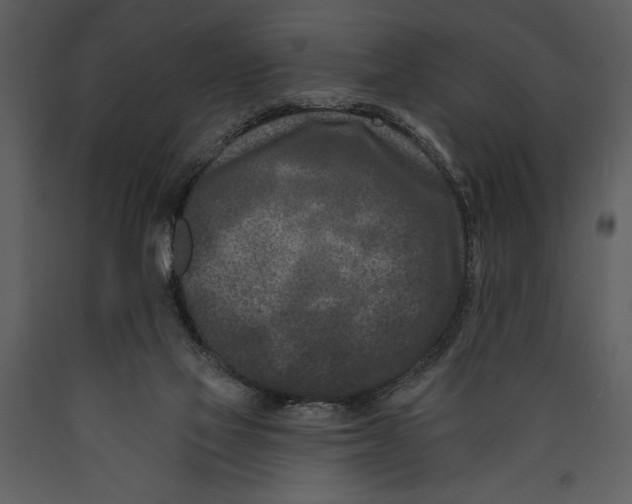 X0000089660069200707191658