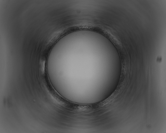 X0000089660070200707191658