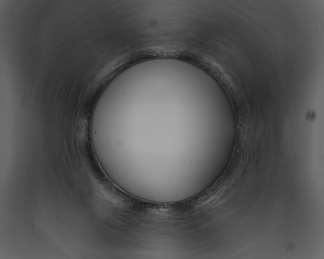 X0000089660071200707191658