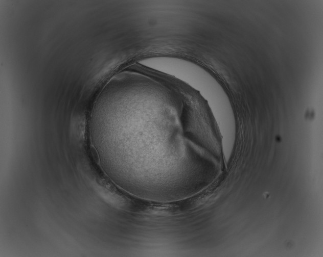 X0000089660072200707191658