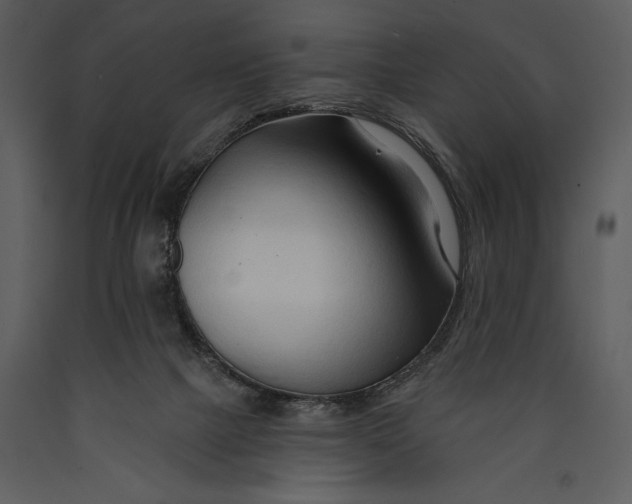 X0000089660073200707191658
