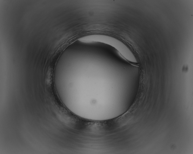 X0000089660074200707191658