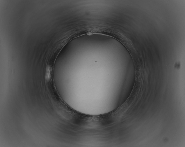 X0000089660075200707191658