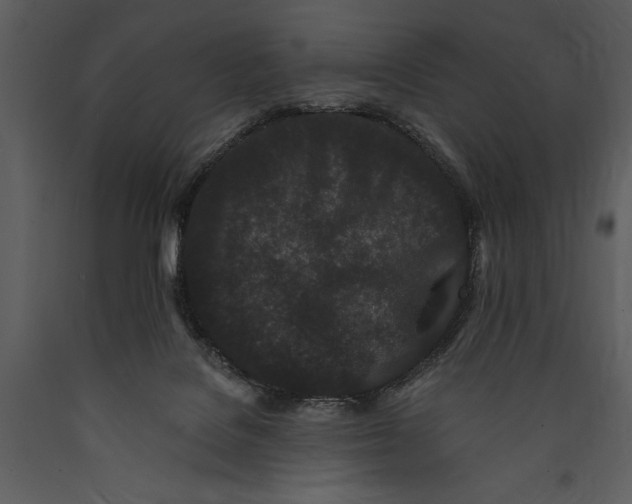 X0000089660076200707191658