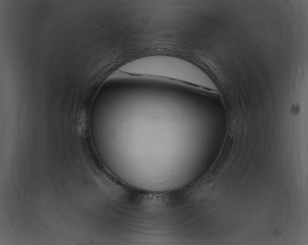 X0000089660077200707191658
