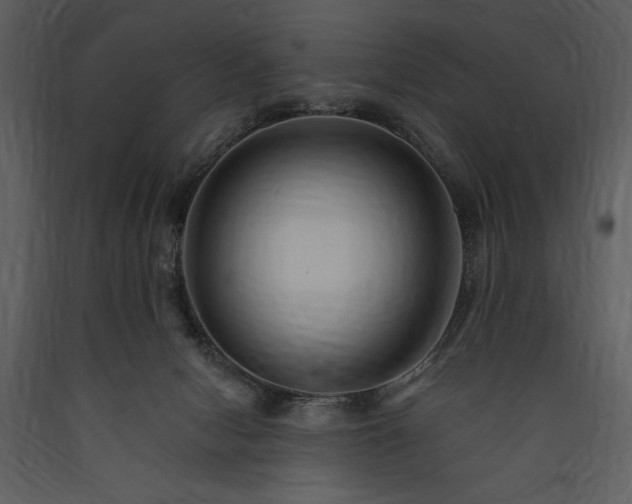 X0000089660078200707191658